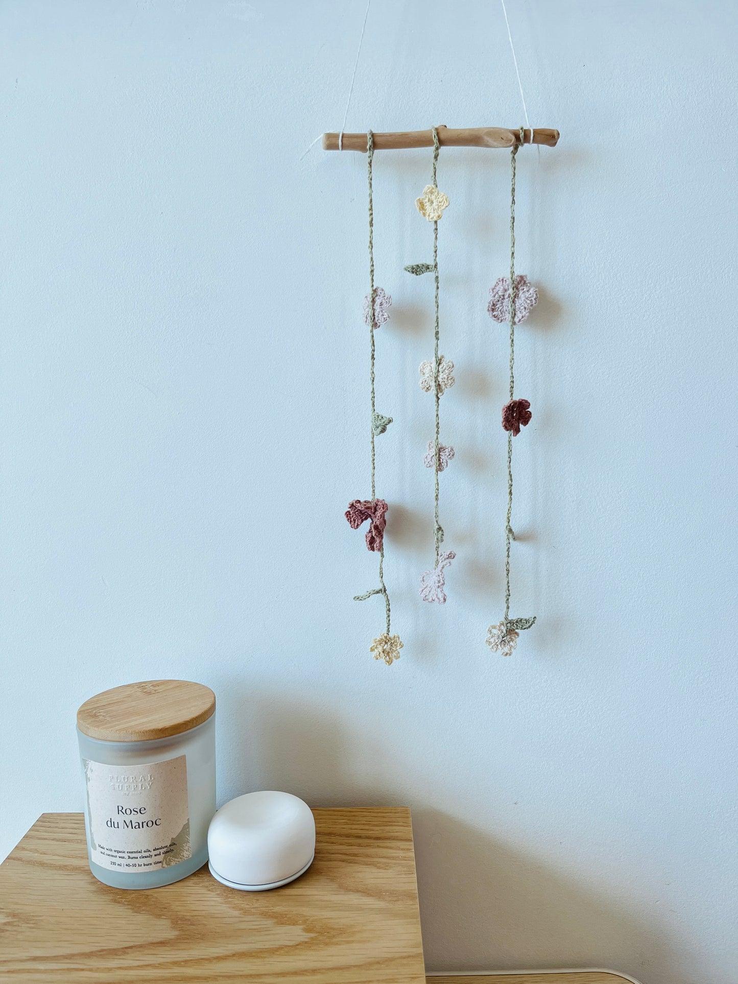 Decorative hanging plant on a light blue wall with a candle and diffuser on a wooden surface.